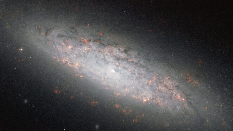 허블 우주망원경이 촬영한 나선은하 NGC 6503의 원반