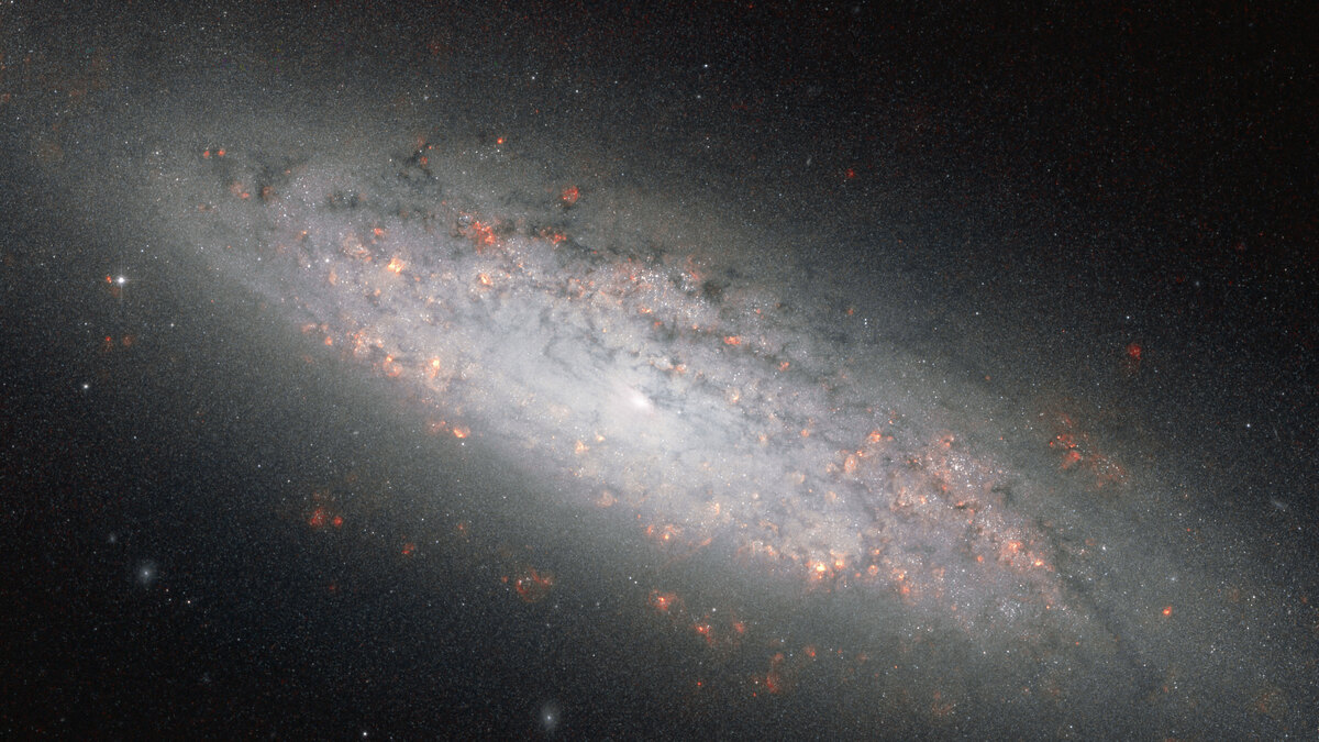 허블 우주망원경이 촬영한 나선은하 NGC 6503의 원반